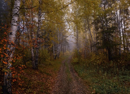 Пожароопасный сезон закрыт.